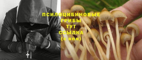 синтетический гашиш Белокуриха