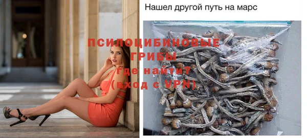 синтетический гашиш Белокуриха