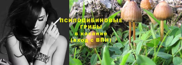 Альфа ПВП Беломорск