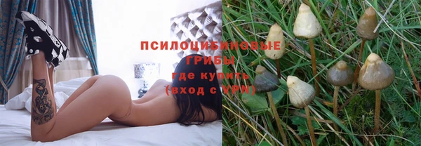 Альфа ПВП Беломорск