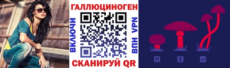 Купить  Гуково  Галлюциногенные грибы GOLDEN TEACHER 